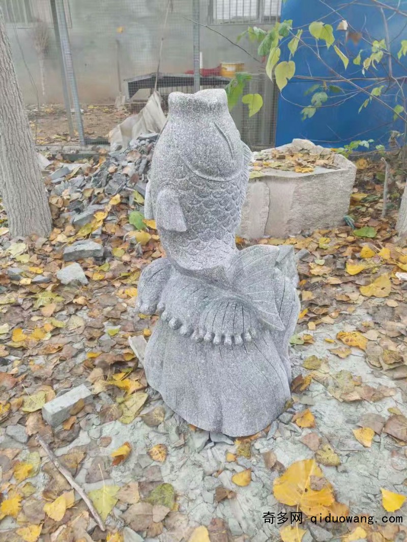 ˮ