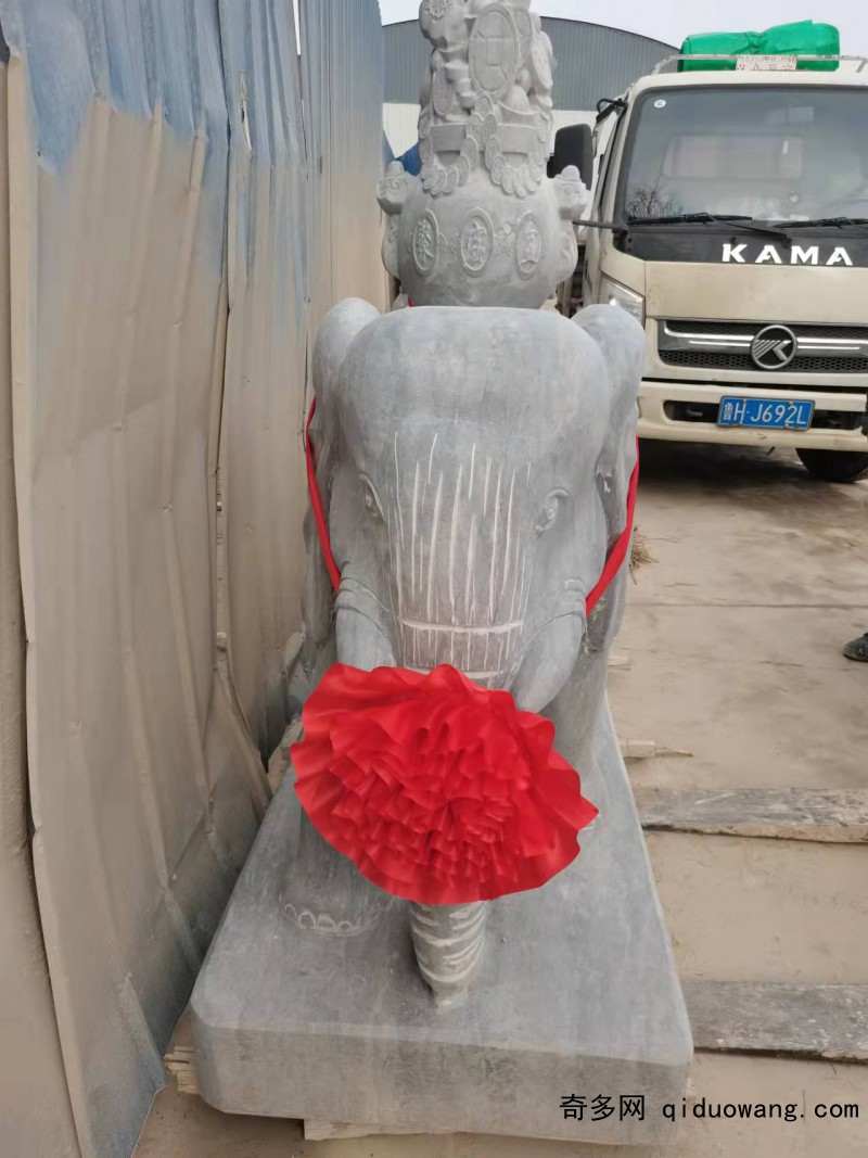 大象聚宝盆5
