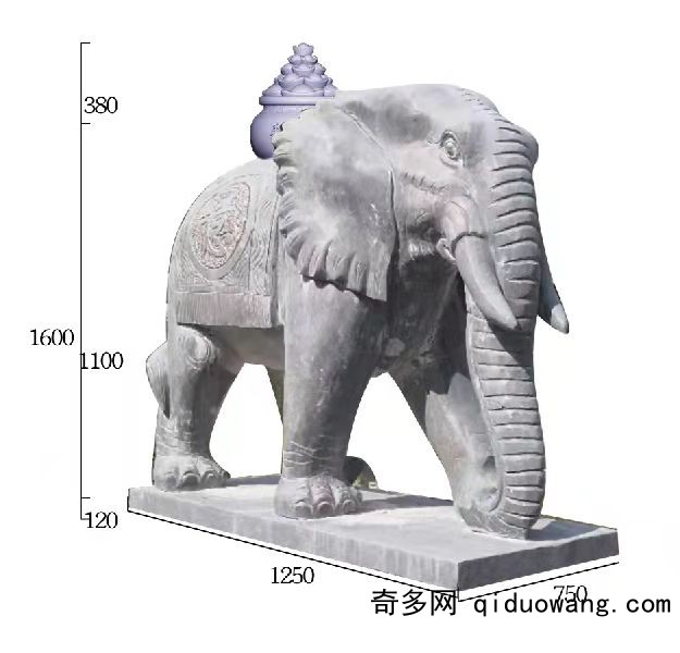 大象图5