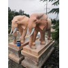 供应、：晚霞红大象、晚霞红大象石雕、晚霞红大象雕刻《今日发现》